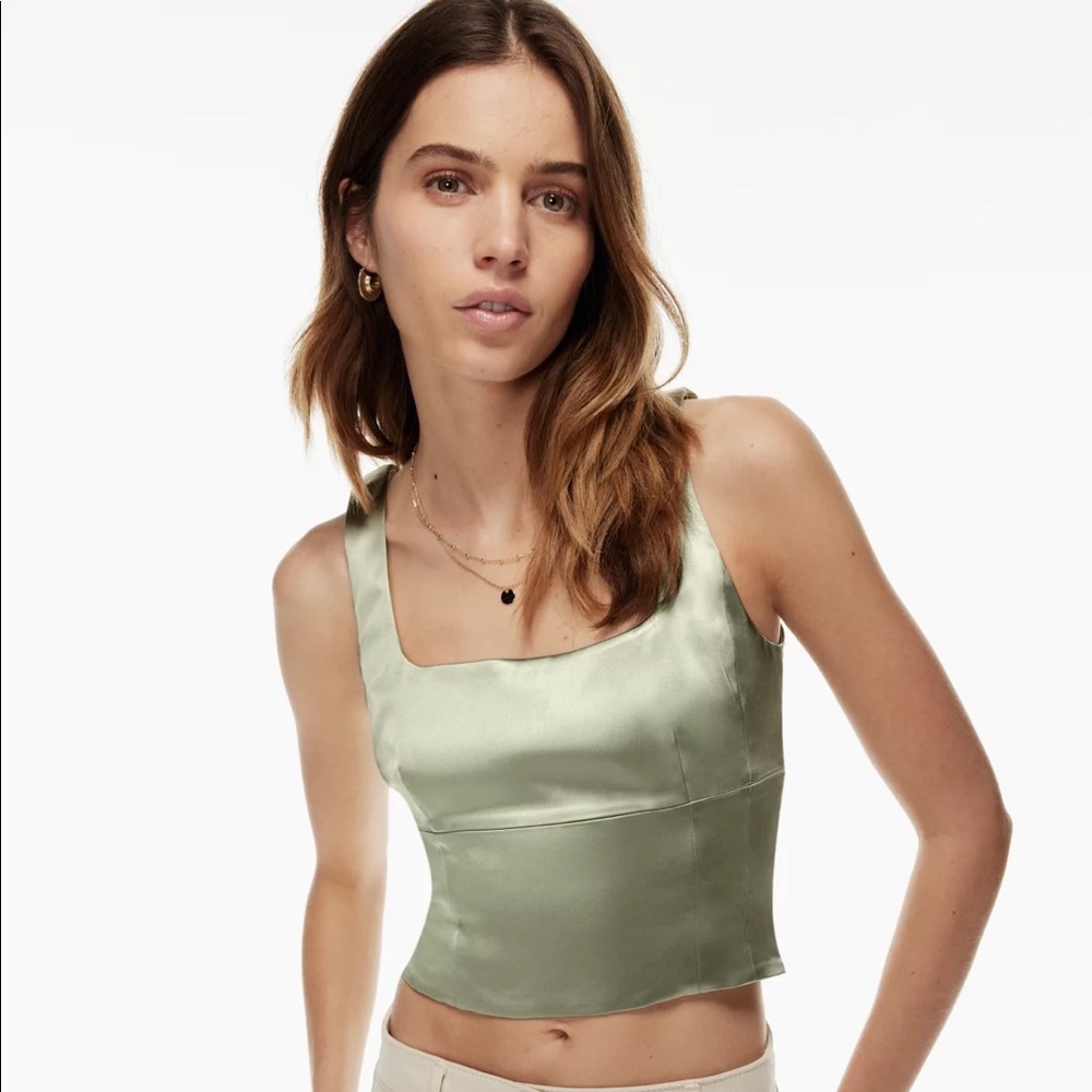 Aritzia: Wilfred Shine Bustier (out of stock on website)